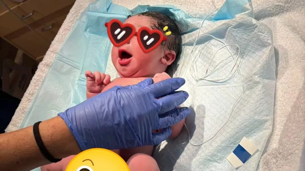 從6次失敗到奇蹟降臨：Z女士與L先生的「蛇寶寶」之路